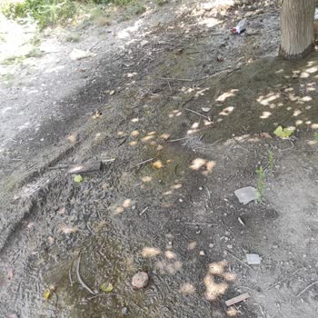 Adana Büyükşehir Belediyesi Yerden Su Çıkıyor. Yüzüncü Yıl Mahallesi