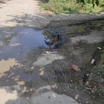 Adana Büyükşehir Belediyesi Yerden Su Çıkıyor. Yüzüncü Yıl Mahallesi