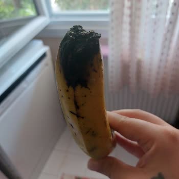 Migros Bozuk Çürük Muz