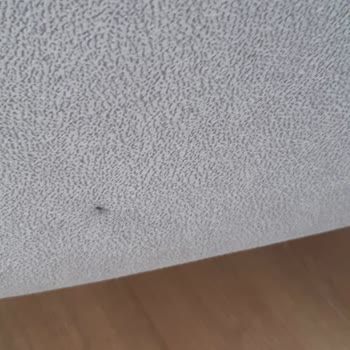 Batılı Mobilya Ayıplı Mal İle Müşteri Mağdur Ediyor