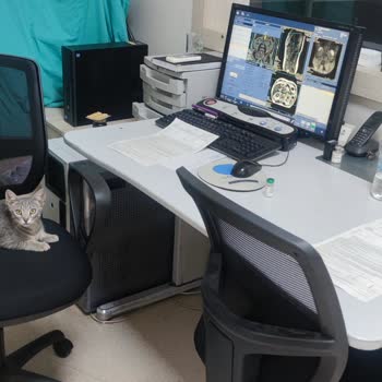 Fatih Sultan Mehmet Eğitim Ve Araştırma Hastanesi MR Teknisyenin Hijyene Uymaması