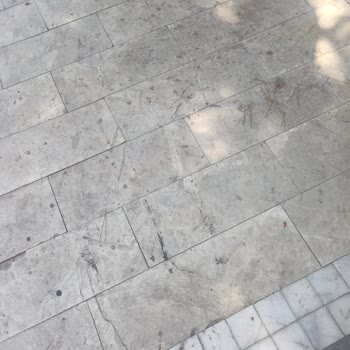 Nilüfer Turizm Nilüfer Truzim Klima