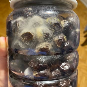 A101 Küflü Zeytin İade Alınmıyor