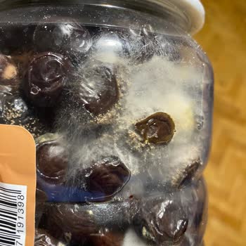 A101 Küflü Zeytin İade Alınmıyor