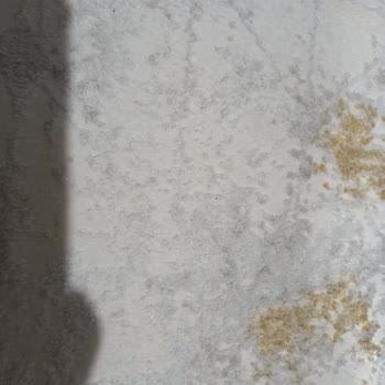 Sagano Bambu Halı (Şanlıurfa) Defolu Ürün