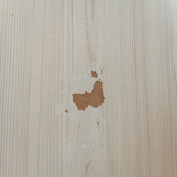 Enza Home Koltuk Ayaklarının Giderilemeyen Sorunu