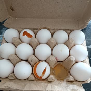 Cepte Şok Bozuk Ürün