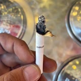 Philip Morris Tütünün Kalitesiz Olması