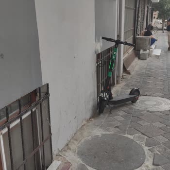 Martıyı Evimin Penceresine Bağlamışlar
