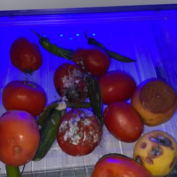 Arçelik Buzdolabı Küf Yapıyor