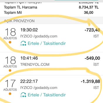 Godaddy.com Bilgi Dışı Para Çekimi