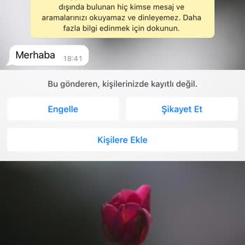 WhatsApp Yurt Dışı Aramaları