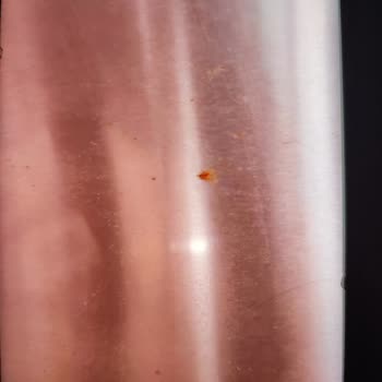 Siemens Marka Paslanmaz Çelik Buzdolabında Paslanma