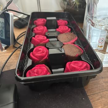 ÇiçekSepeti Yanlış Gelen Ürün