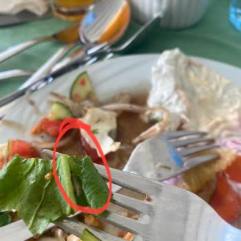 Daima Hotels Daima Biz Hotel Salatadan Kurt Çıktı