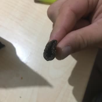 Patos Paketinden Çıkan Cisim