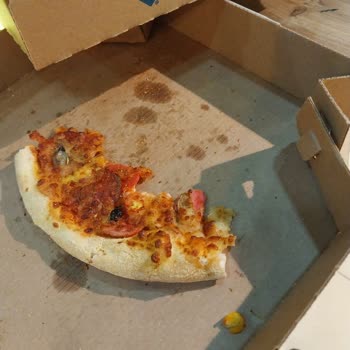 Domino's Pizza Siparişinden Böcek Çıktı