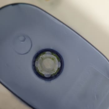 Brita Sürahi Filtresinde Yosun Oluşumu!