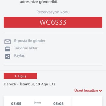 THY Uçağa Alınmadım Ve Online Sitede Teknik Sorunları Bitmiyor