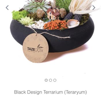 Taze Çiçek (tazecicek.com) Alakasız Ürün