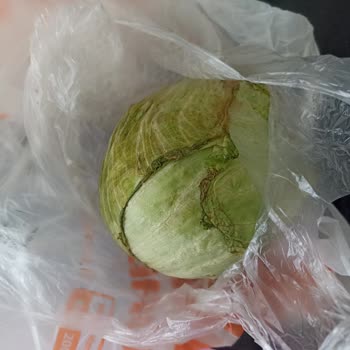 Migros Sanal Bozuk Ürün Geç Teslimat