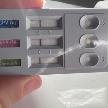 Doğa Köpek Üretim Çiftliği Zulmediyor