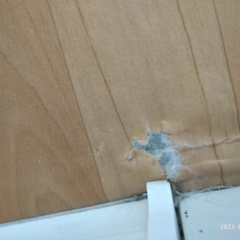 Steel House Konteyner Yaşam Alanı