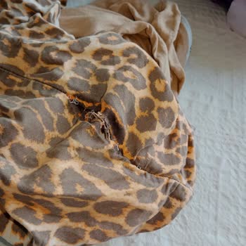 Flamingo Köy Kötü Bir Tatil Yaşıyoruz Şikayetçiyim