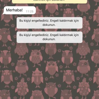 WhatsApp Endonezya Gelen Mesaj