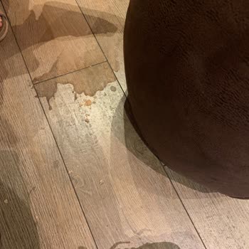 Kahve Dünyası Pek Hijyenik Değil Her Çalışan Düzgün Çalışmıyor