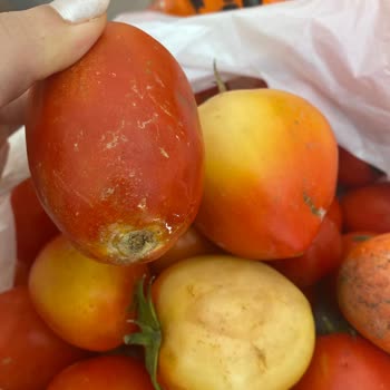 Migros Hemen Domates Siparişim
