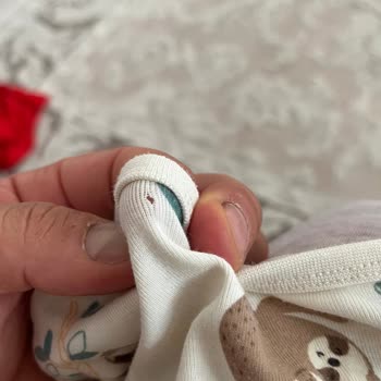 Profilo Çamaşır Makinesi 5