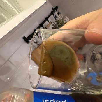 Trendyol Siparişimde Küflenmiş Pepsi Çıktı!