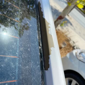 Paint Removal Problem On Honda 2016 Civic Ignored by the Brand