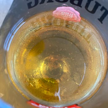 Carlsberg İçinde Bisküvi Gibi Parçacıklar Var