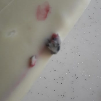 BİM Dondurmadan Sinek Çıktı