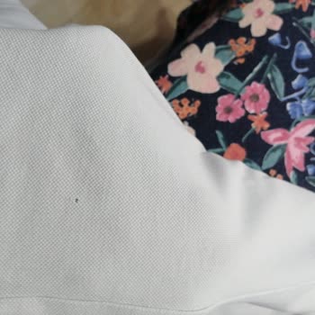 Kıyafet Delen Siemens Makine