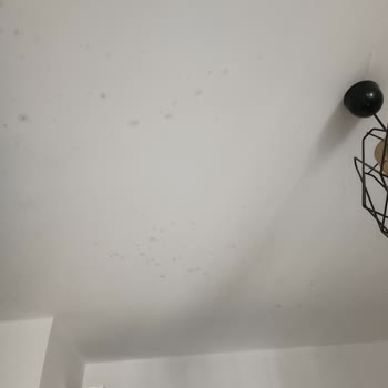 Altınkılıç Probiyotik Kefir Patladı!