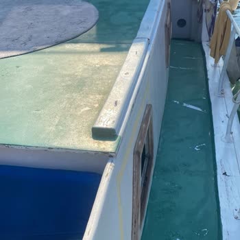 Haydi Kampa Tekne Hijyen Havuz Sorunları