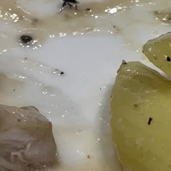 Tavuk Dünyası İçinden Böcek Çıktı