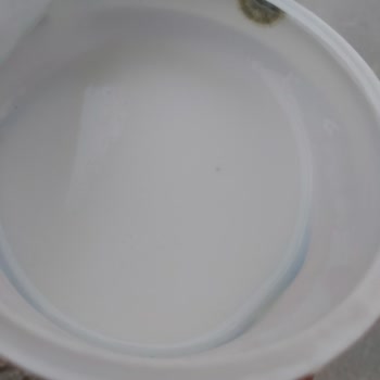 Sütaş Marka Ayranın İçi Küflü Çıktı Ve Tadı Bozuktu