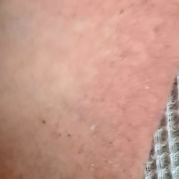 Karaca Home Koltuk Örtüsü Fiyaskosu