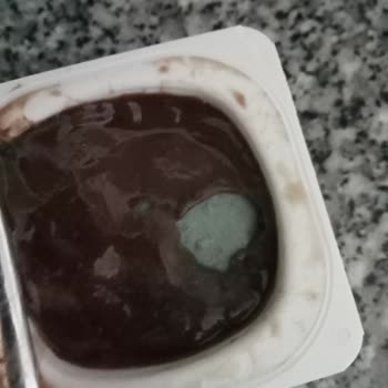 Küflenmiş Danette Puding