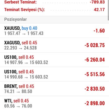 Neşe Veziroğlu Analiz Desteği Hesabımın Patlaması