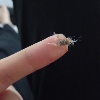 Centro Mağazaları Centro Çikolatalı Gofret