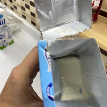 Dibe Çökmüş Bir Şekilde Meysüt