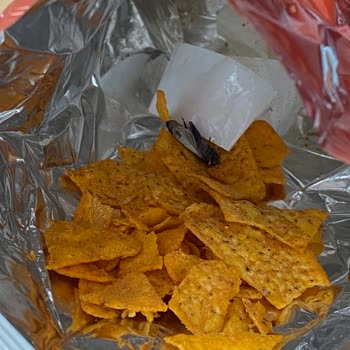 Doritos Hot Corn Sinek Çıktı