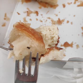 Börekçi Resul (Gaziantep) Aldığım Börekten Sinek Çıktı