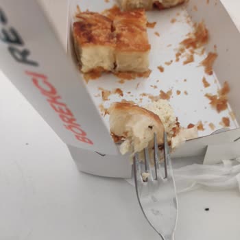 Börekçi Resul (Gaziantep) Aldığım Börekten Sinek Çıktı