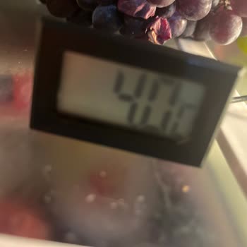 Profilo Servisi Ve Müşteri Hizmetsizliği
